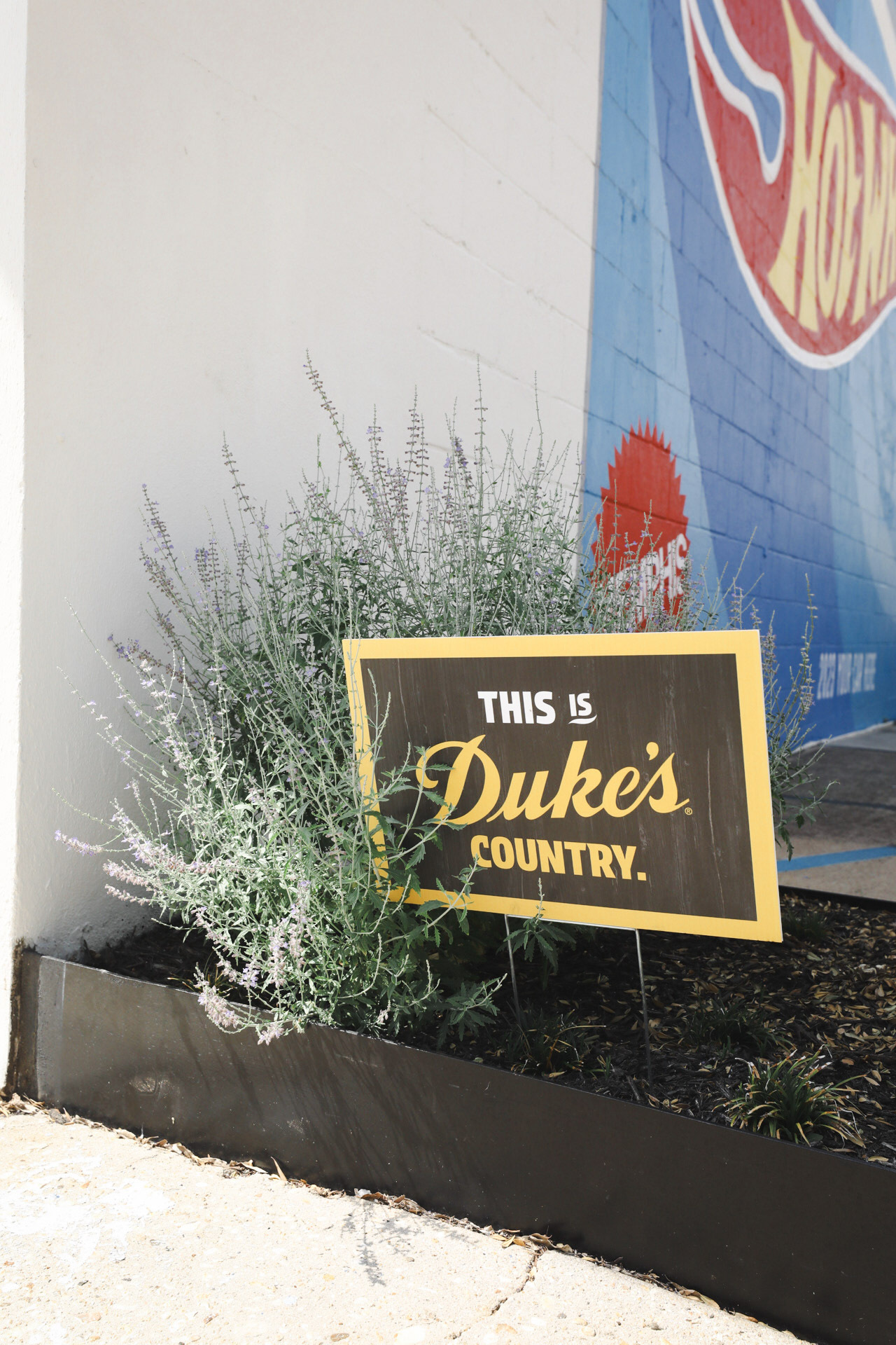 Duke's Country